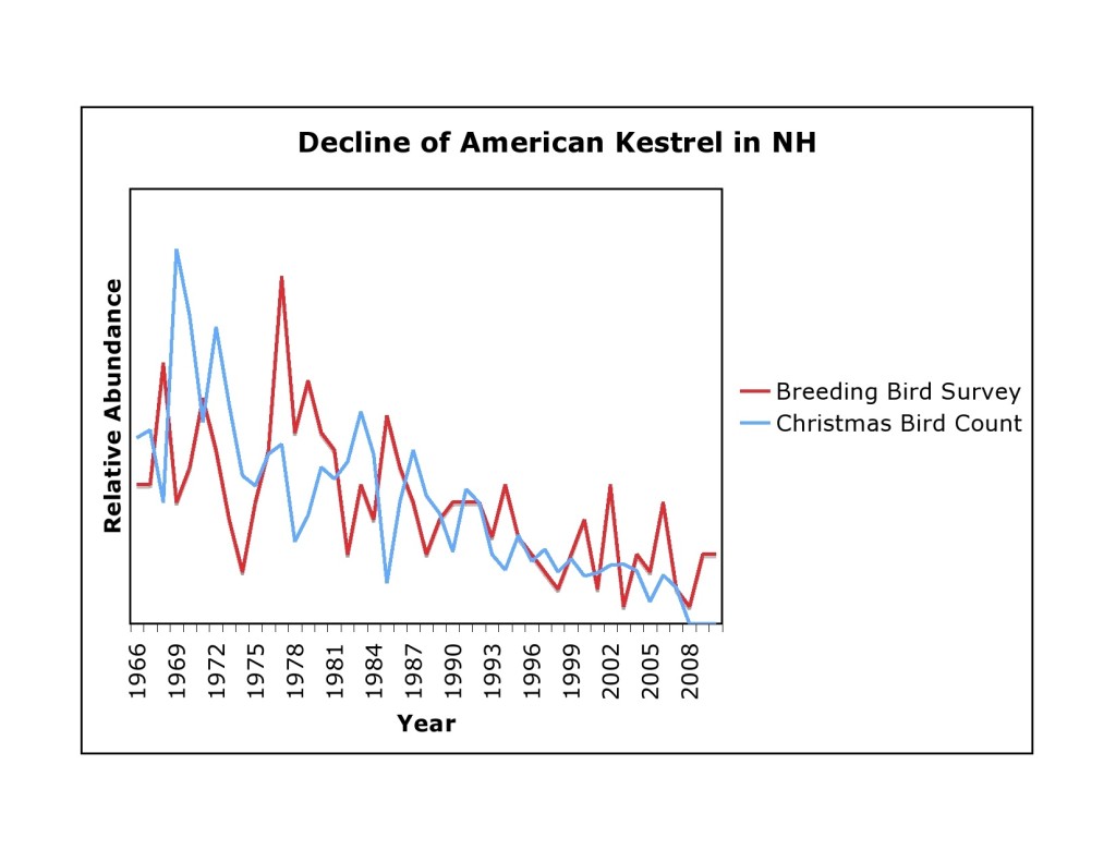 Decline of American Kestrel in NH.