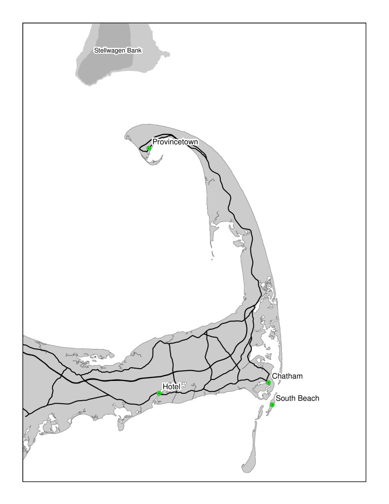 Cape Cod Birding Locations