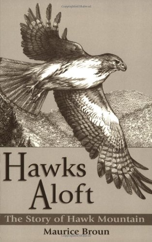 Hawks Aloft, Maurice Broun