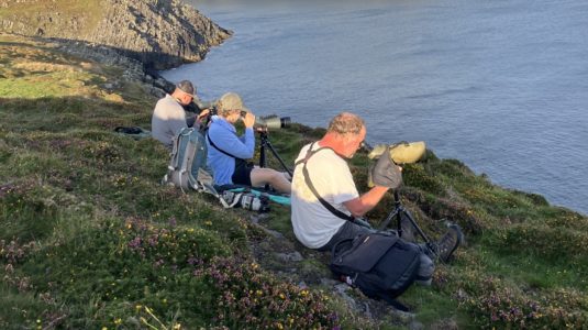 Birdwatching on Cape Clear